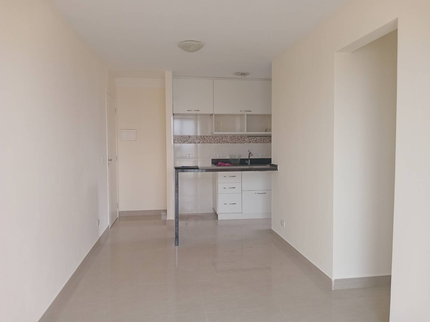Apartamento para alugar com 2 quartos, 50m² - Foto 9
